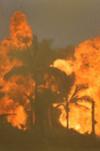 Apocalypse Now